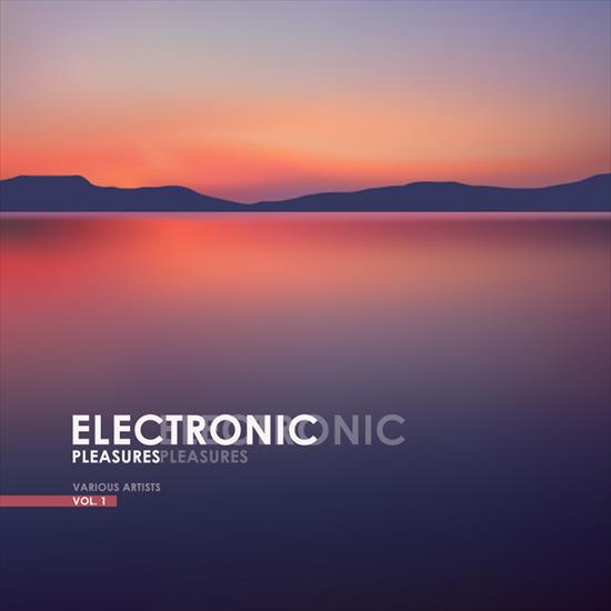 VA - Electronic Pleasures, Vol. 1 2018FLAC - cover.png
